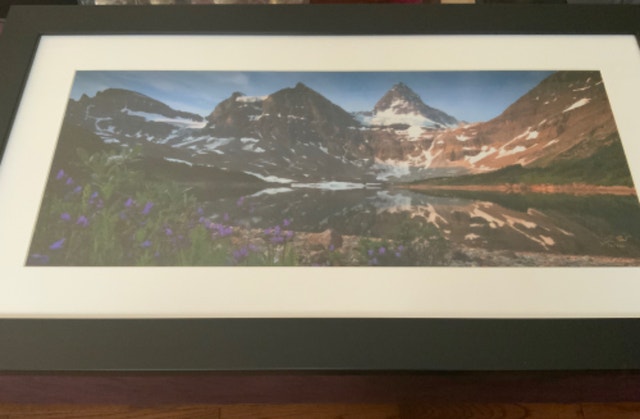 Canadian Rockies — Assiniboine, A Treasure — Framed Print