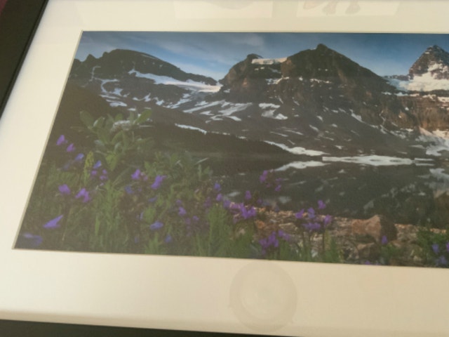 Canadian Rockies — Assiniboine, A Treasure — Framed Print - photo 3