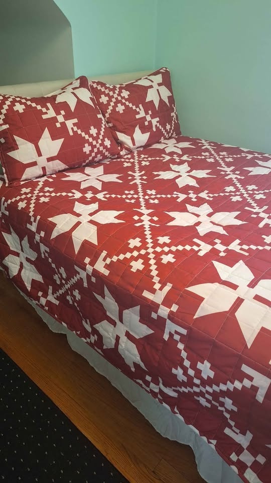 Full size quilt with shams. Reversible. Pickup & Cash Only. - photo 2
