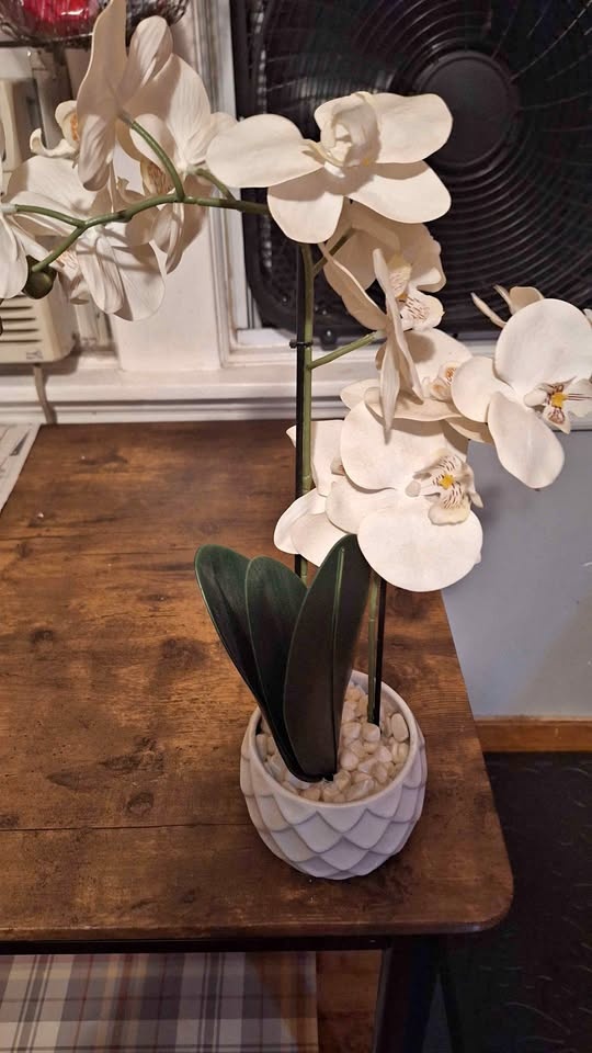 Artificial white orchids in ceramic pot. Pickup & cash only.