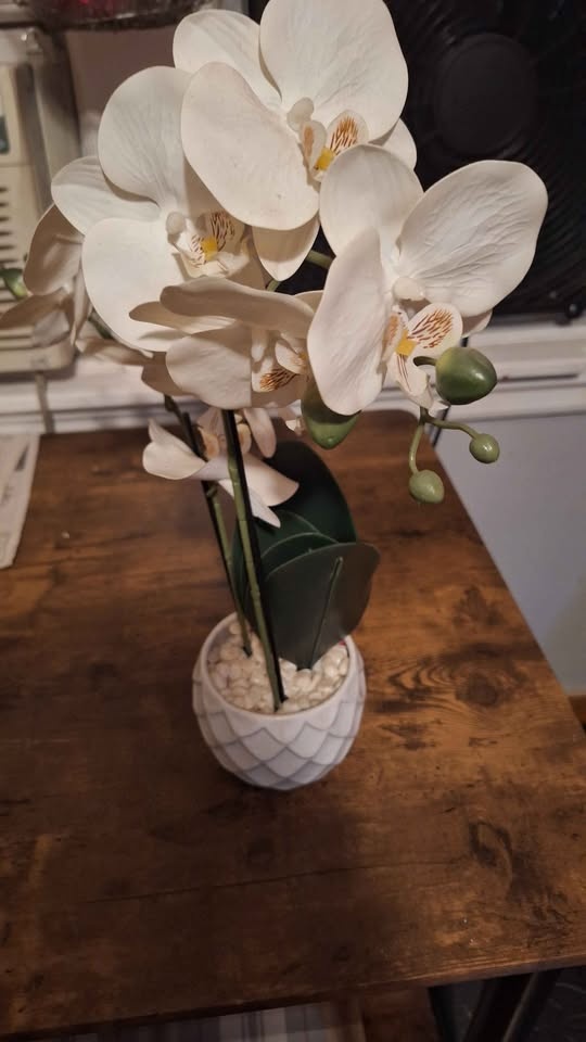Artificial white orchids in ceramic pot. Pickup & cash only. - photo 2