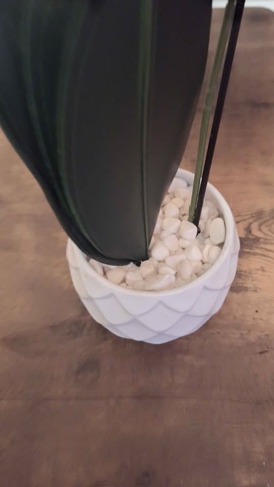 Artificial white orchids in ceramic pot. Pickup & cash only. - photo 3