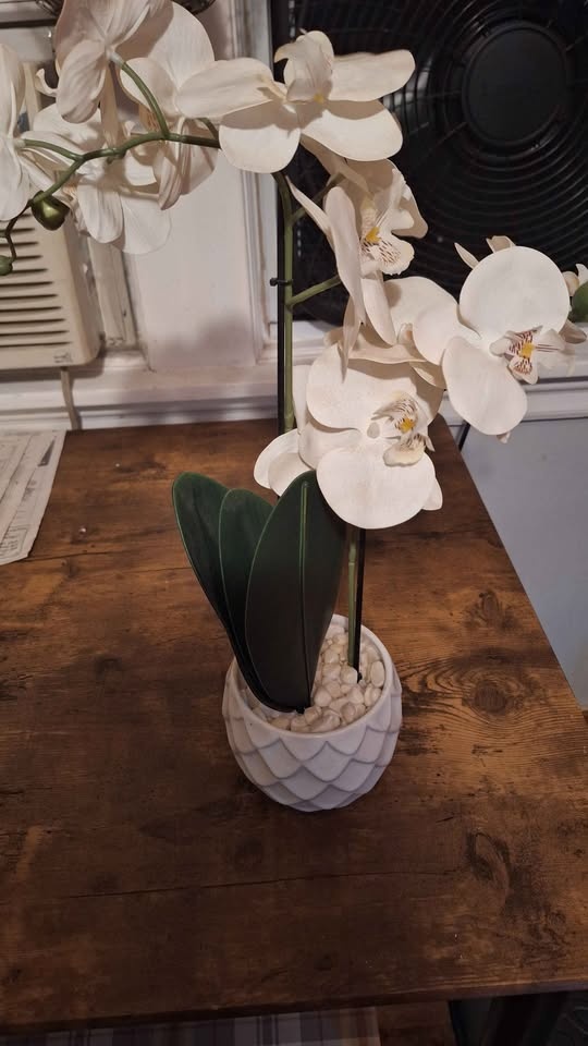 Artificial white orchids in ceramic pot. Pickup & cash only. - photo 4