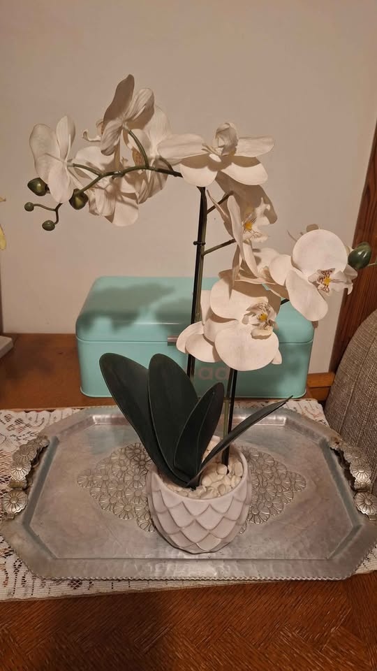 Artificial white orchids in ceramic pot. Pickup & cash only. - photo 5