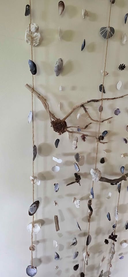Handcrafted Driftwood & Seashell Wind Chime - Nautical Decor - photo 4