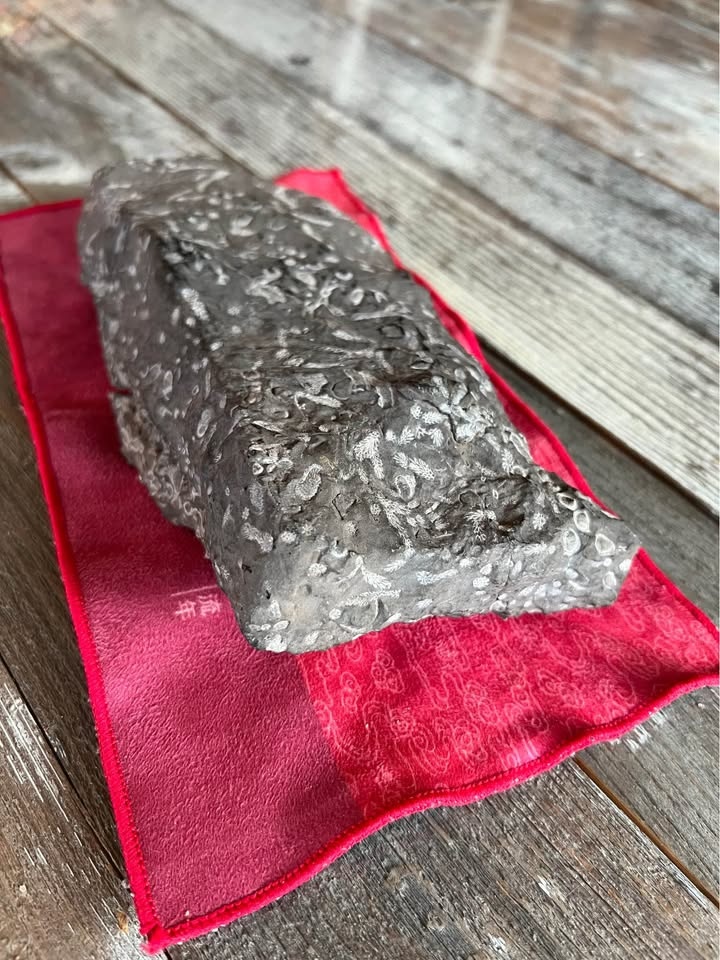 Natural Shale Fossil – Drumheller Region (Private Land Find) - photo 3
