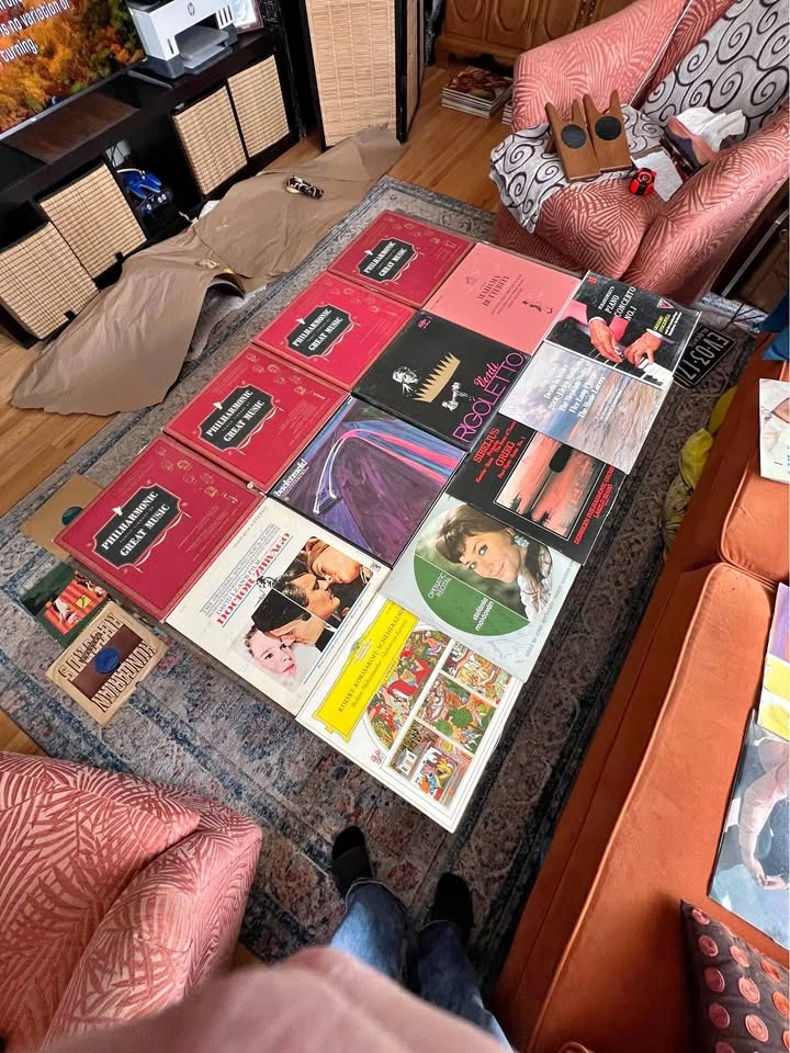 Vinyl Lot - 24 Records