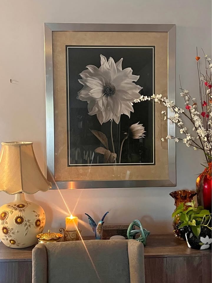 Dahlia Bud Print By Gerard Wall Art Large