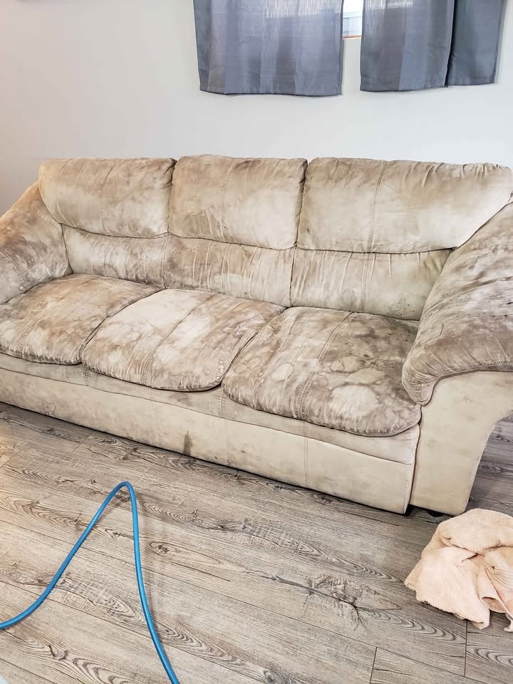 Upholstery plus carpet