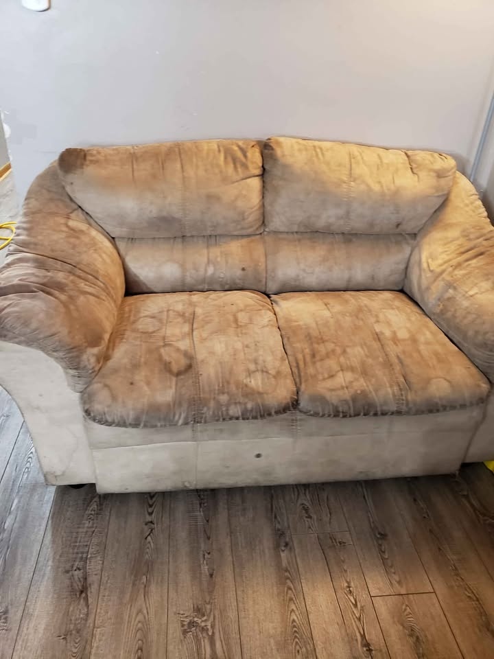Upholstery plus carpet - photo 3