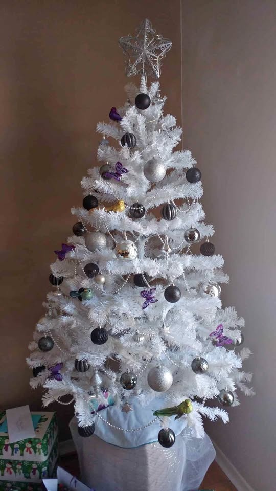 6' White Pine Christmas Tree (Ornaments not included)