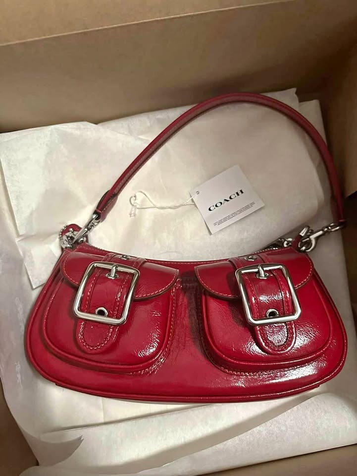 Coach Ashton Bag