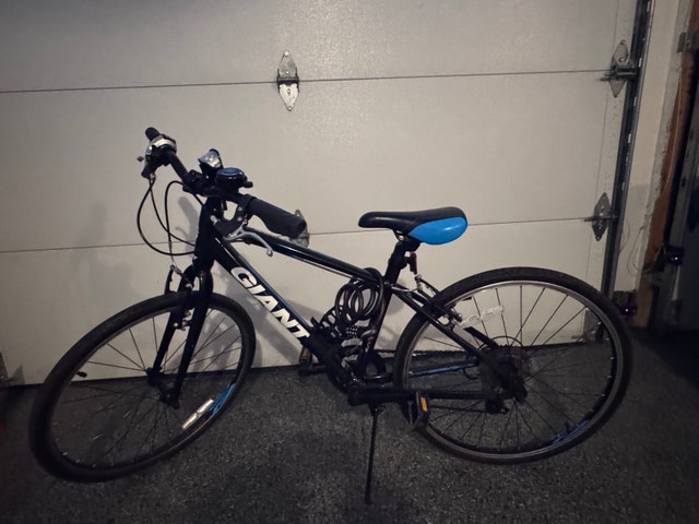 Giant Bicycle