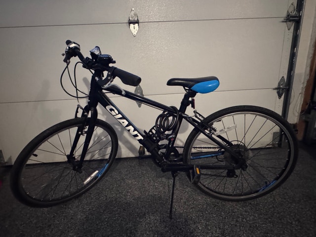 Giant Bicycle - photo 2