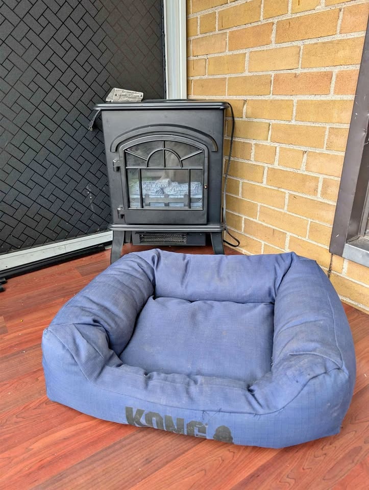 Kong Dog Bed