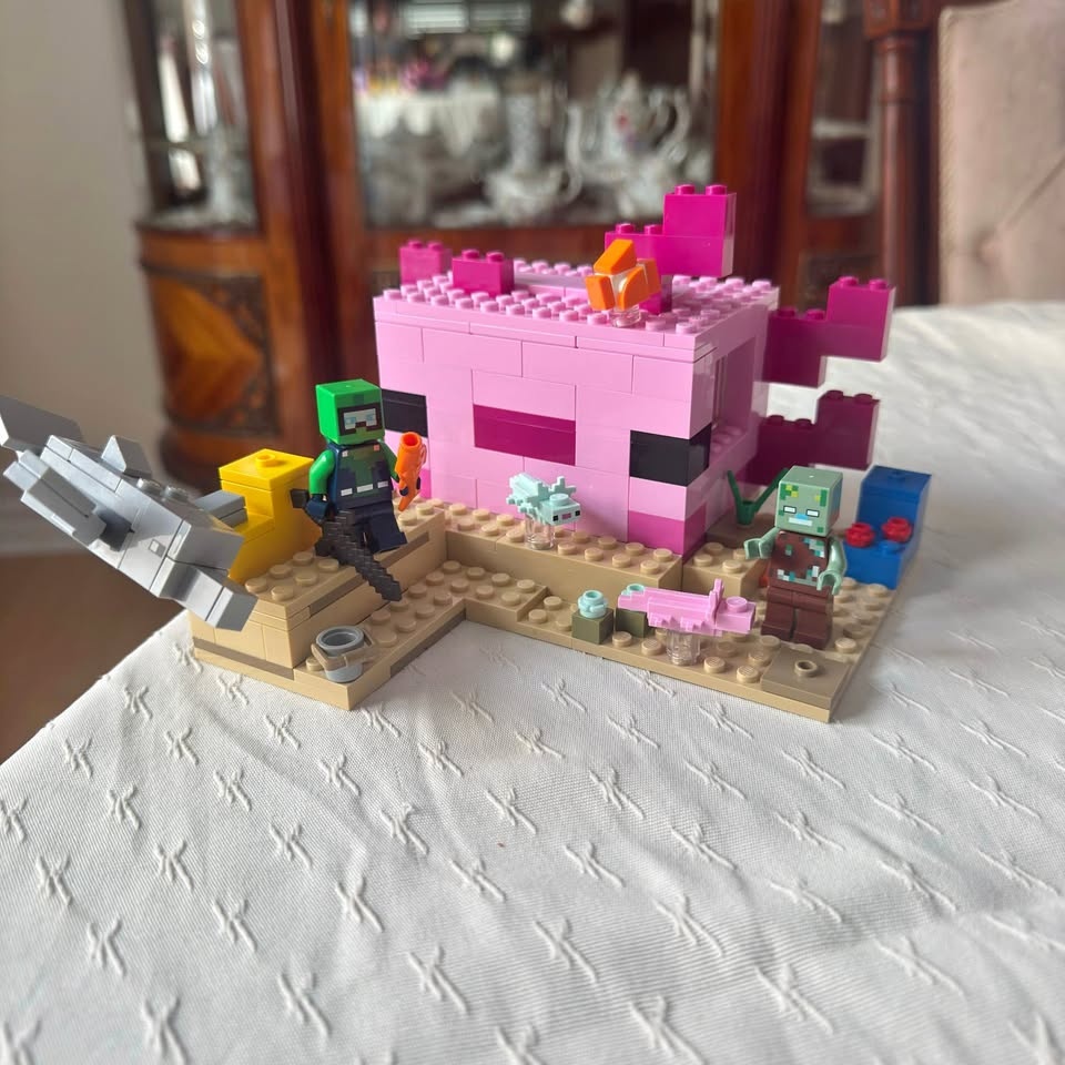Lego Minecraft the Axolotl House