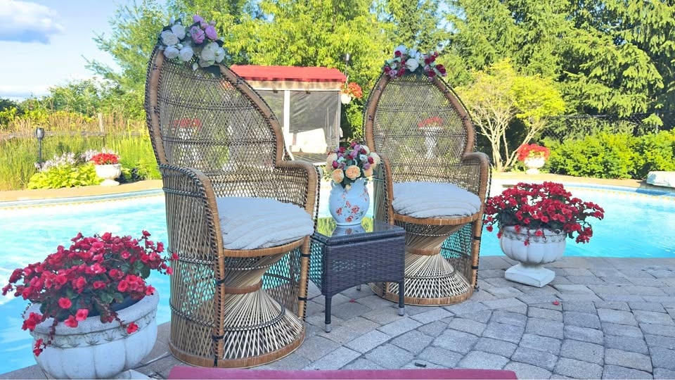 Peacock Chair Rental (Single or Pair)