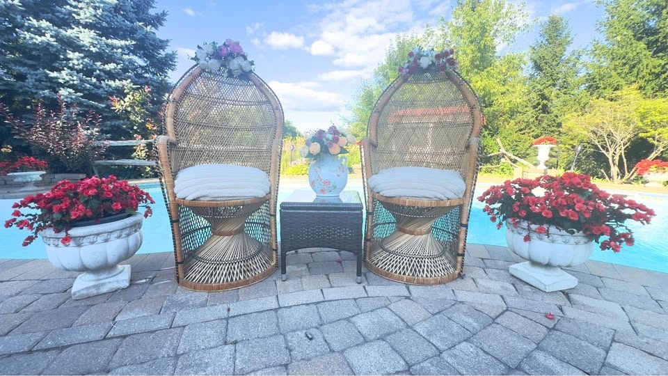 Peacock Chair Rental (Single or Pair) - photo 2