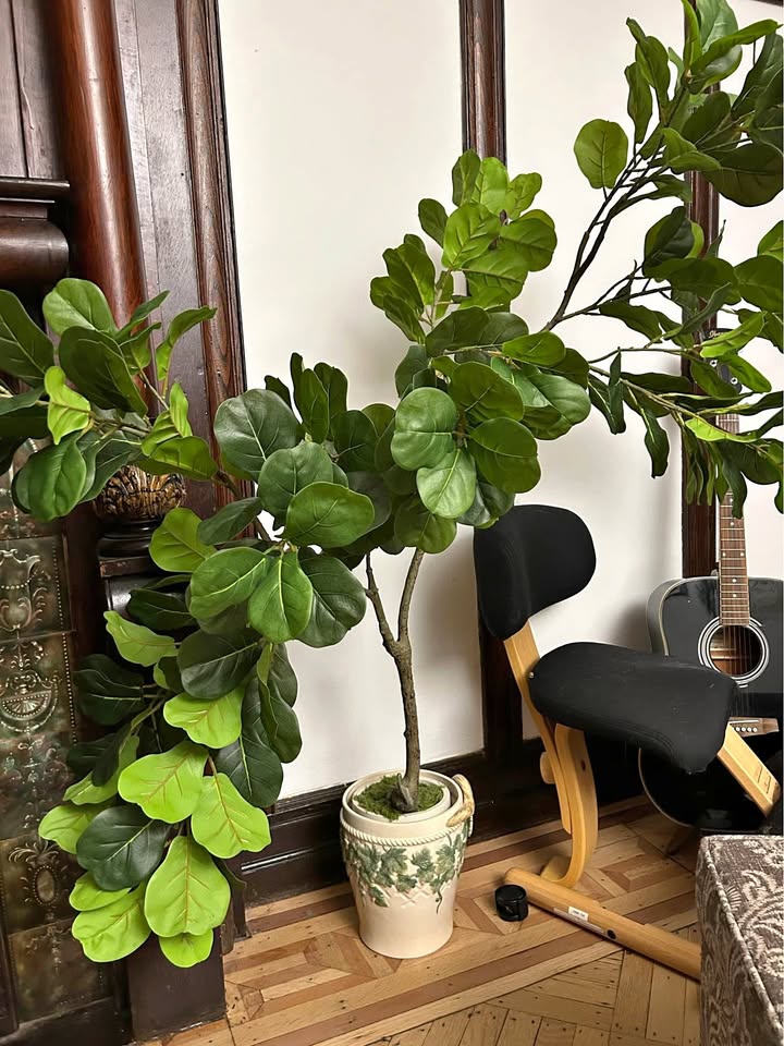 5ft artificial fiddle leaf fig tree