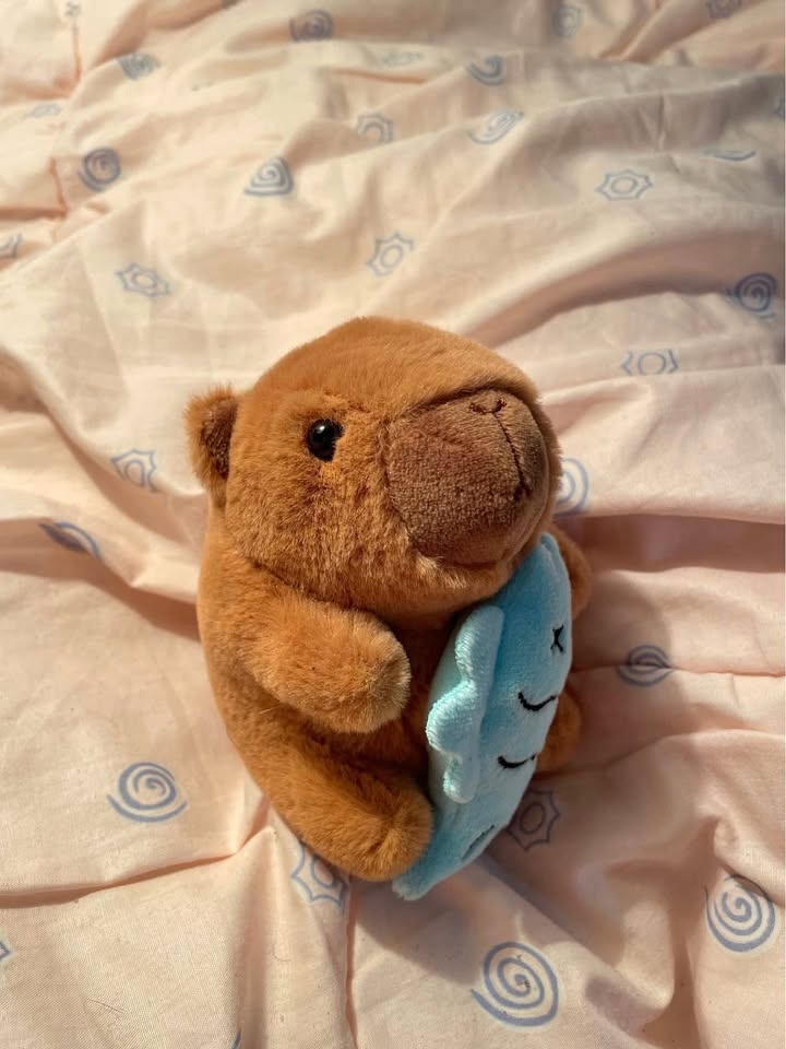 Capybara Plush Keychain 🤍