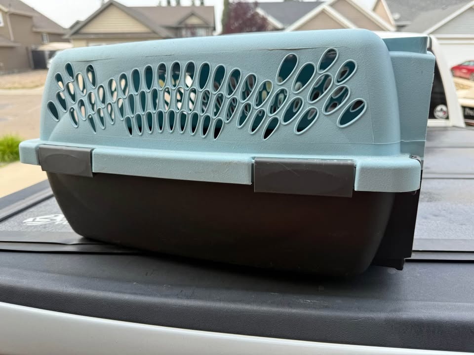 Cat supplies - photo 2