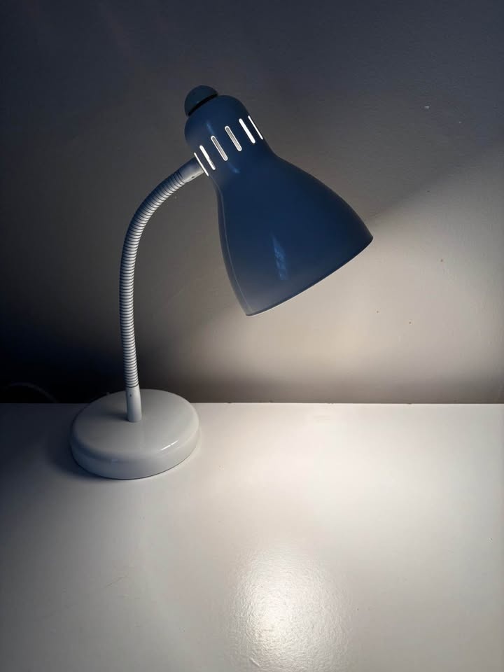 White Gooseneck Desk Lamp - photo 2