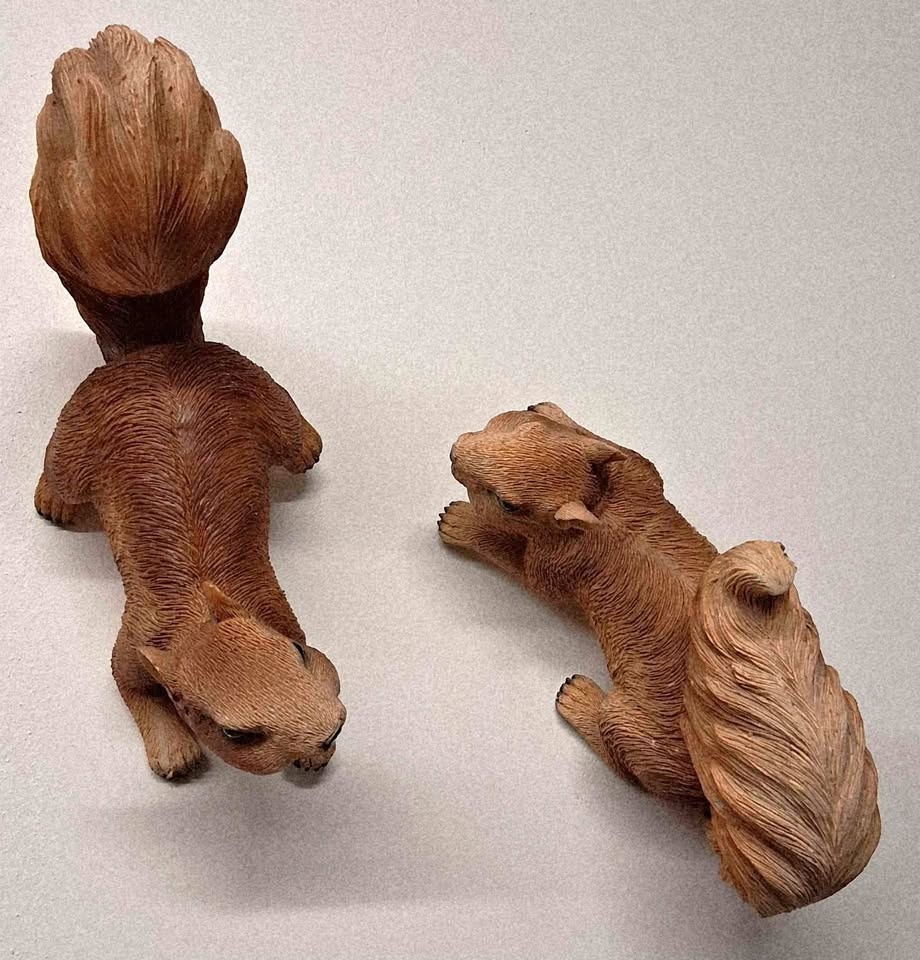 A Pair of Cute Squirrels Tree / Wall Hanger
