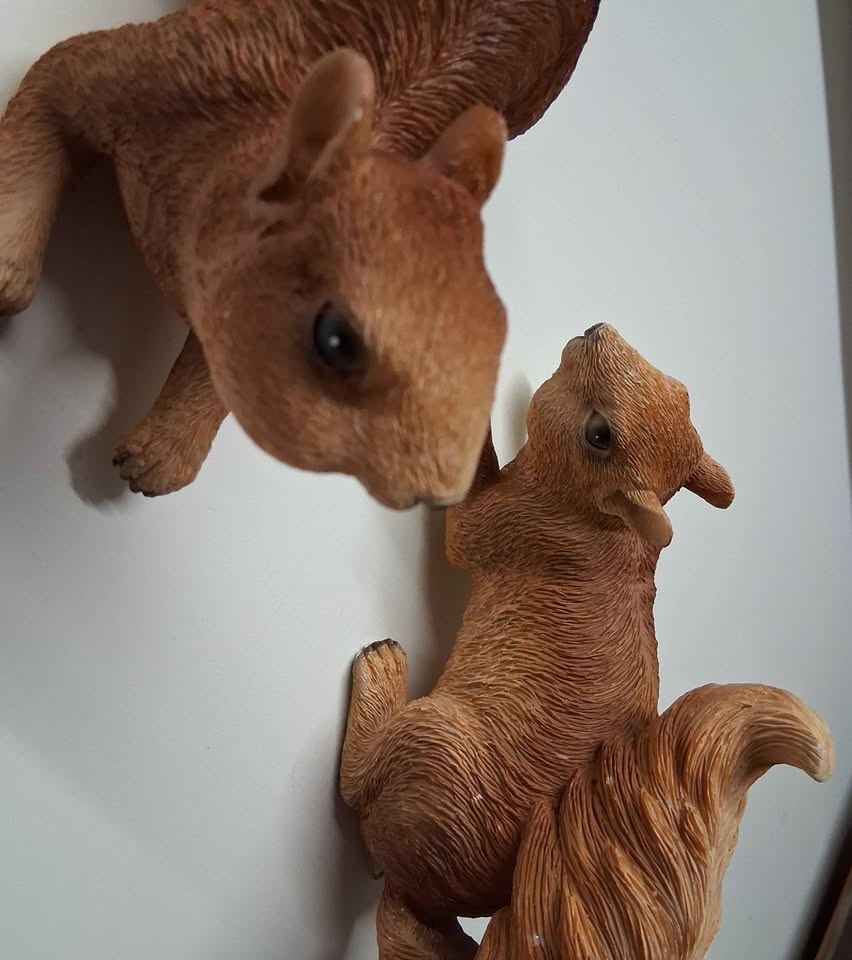 A Pair of Cute Squirrels Tree / Wall Hanger - photo 3