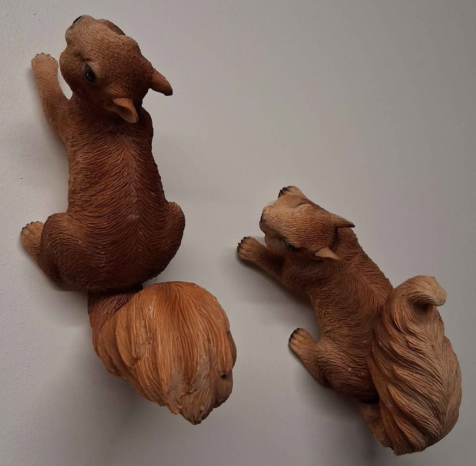 A Pair of Cute Squirrels Tree / Wall Hanger - photo 4