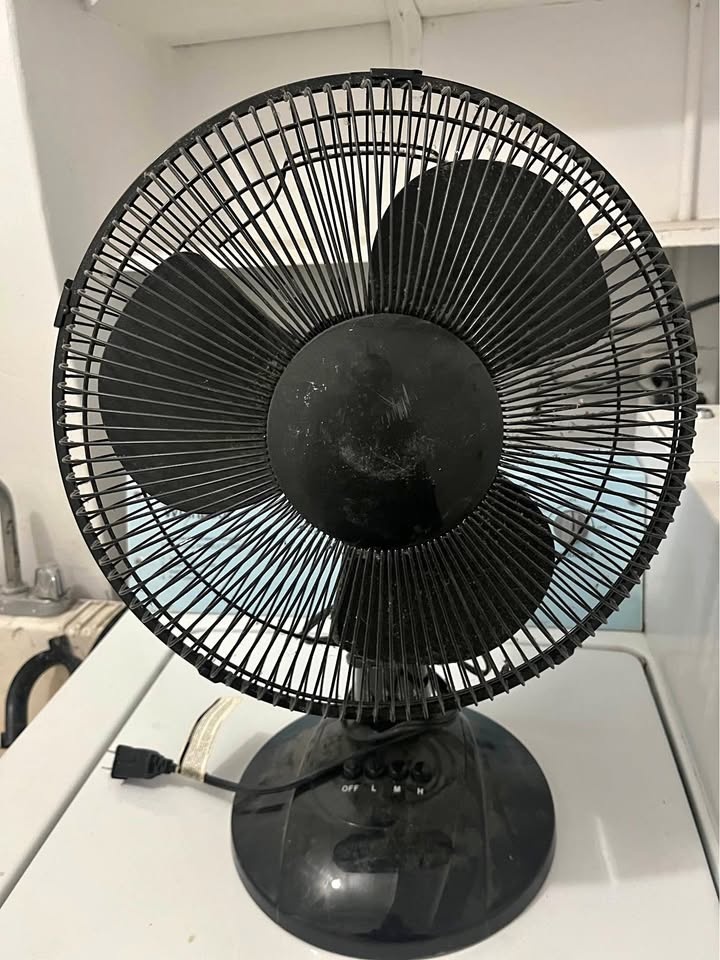 14in Table Fan, Desk Fan, Quiet Small Indoor Fan