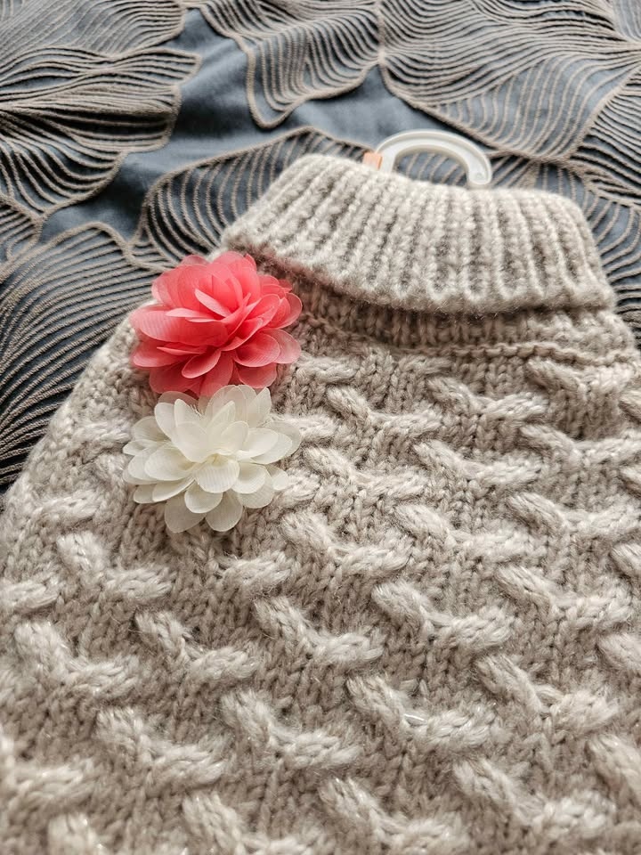 Top Paw Cozy Knitted Dog Sweater Medium - photo 2