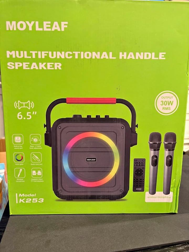Portable Bluetooth Karaoke Speaker with 2 Mics