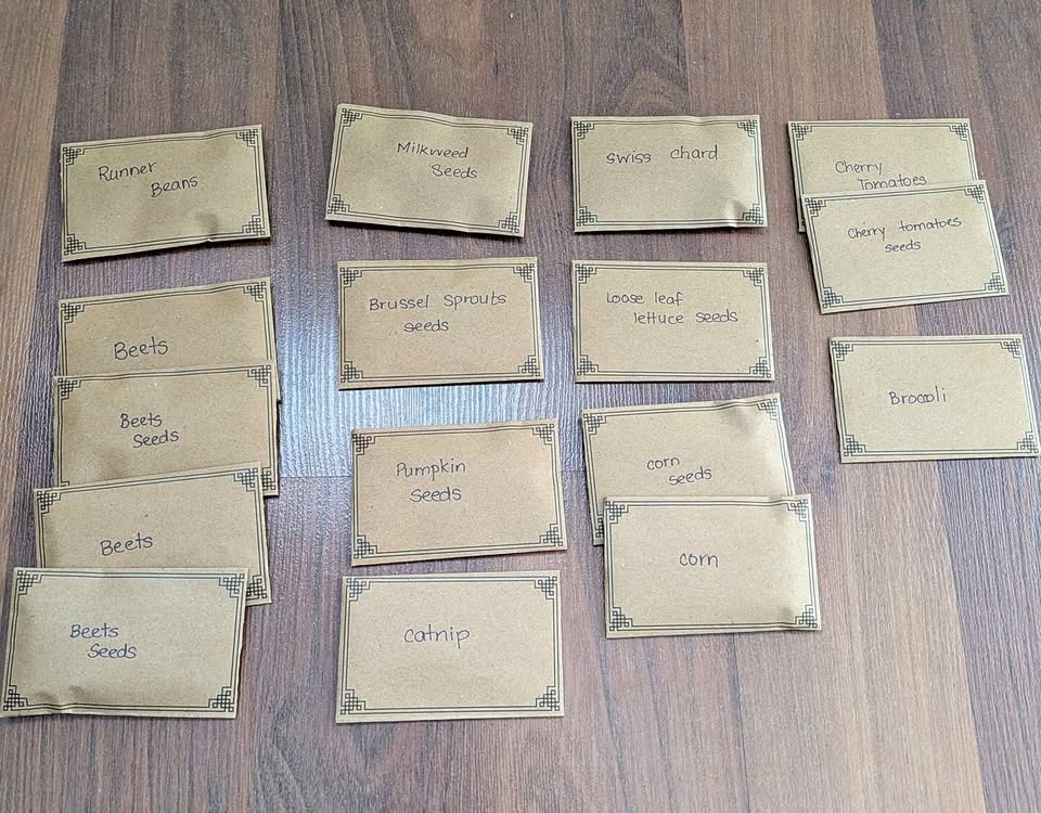 Variety of planting seeds