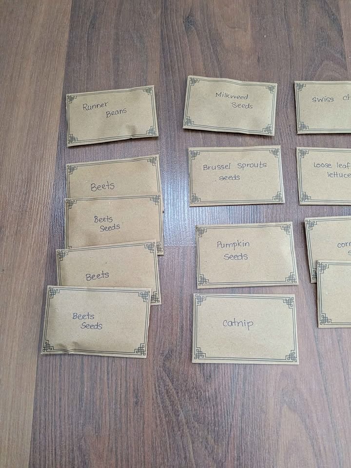 Variety of planting seeds - photo 2