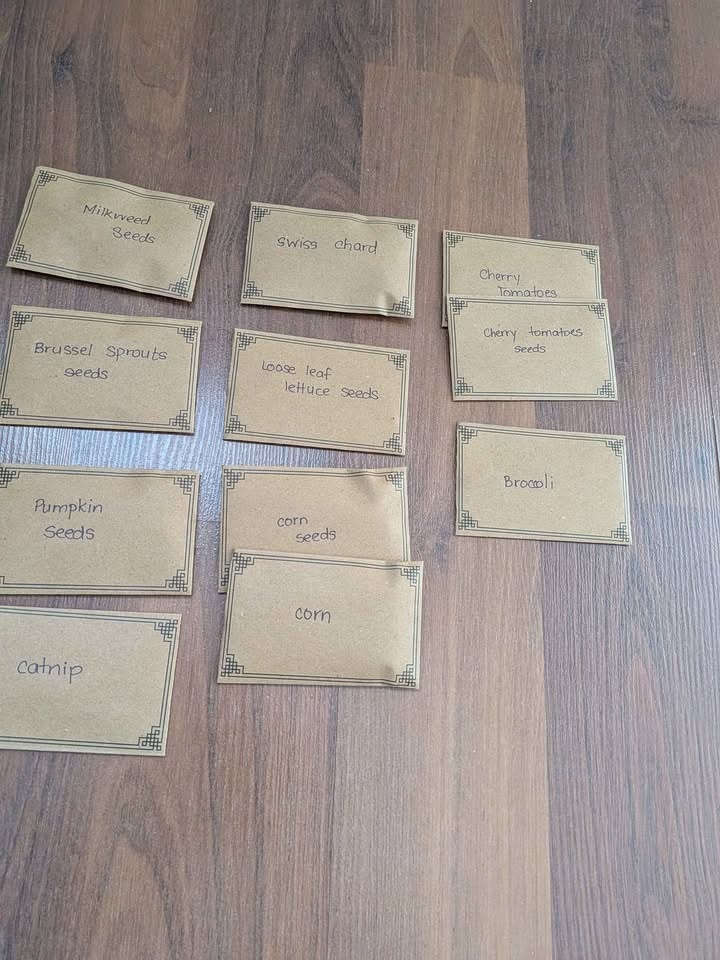 Variety of planting seeds - photo 3