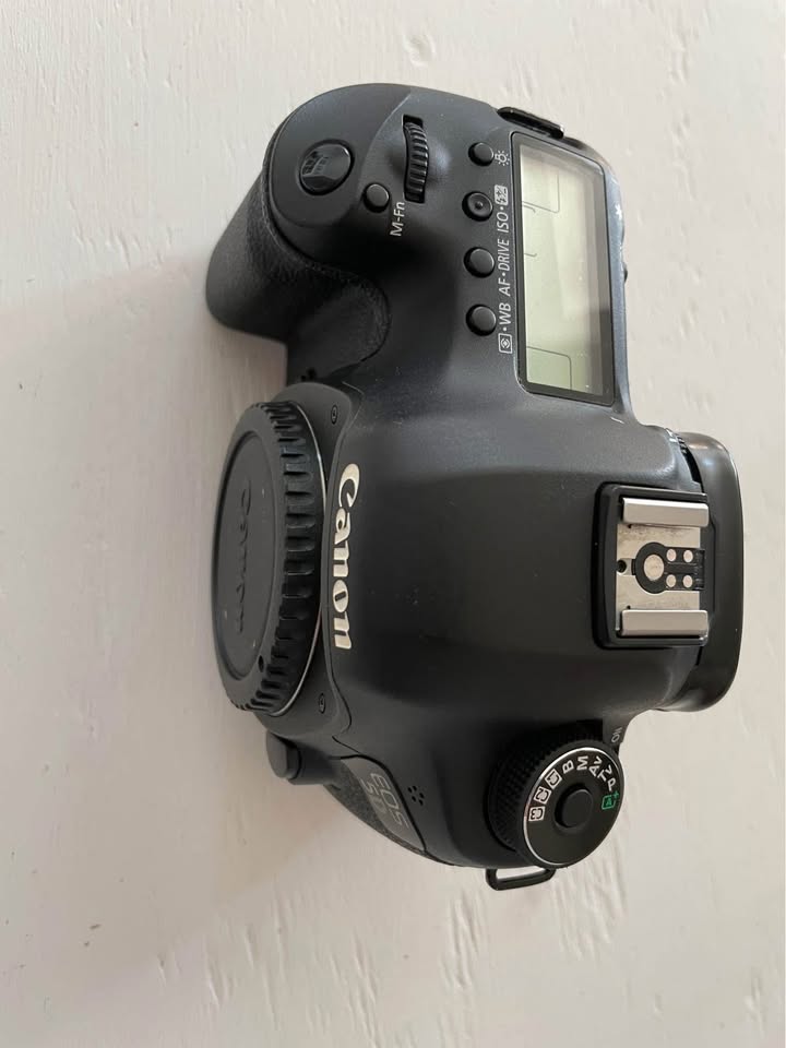 Canon 5D Mkiii - photo 4