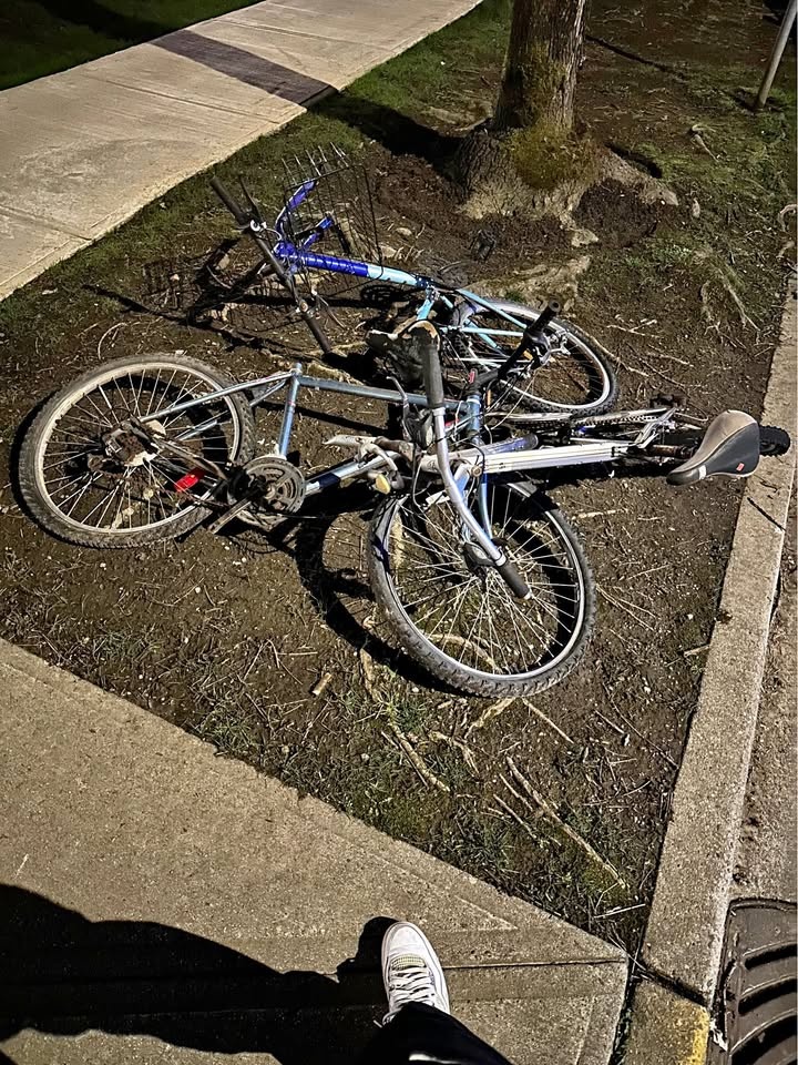 3 Bikes