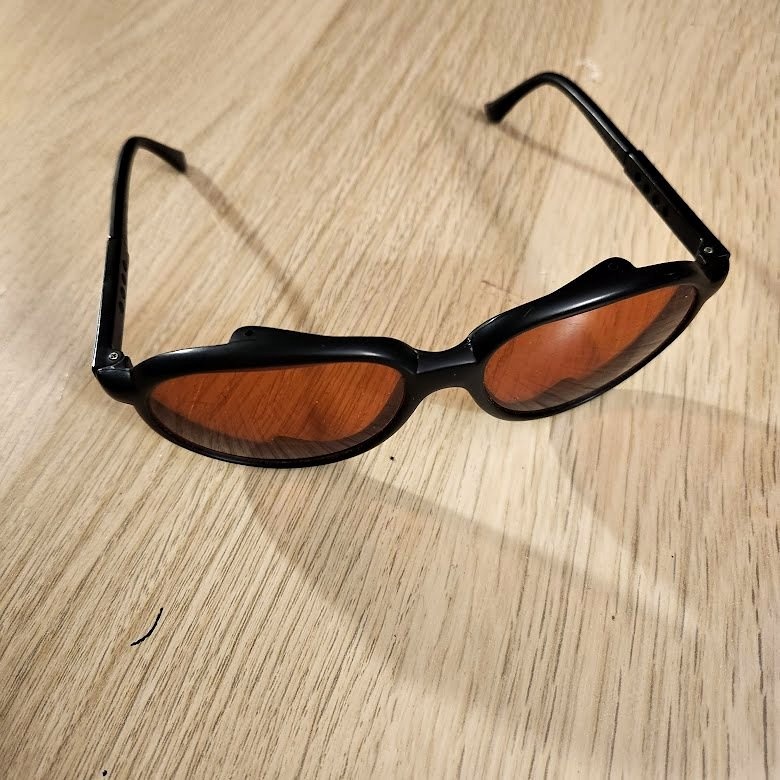 Vintage Bugaboos Sunglasses