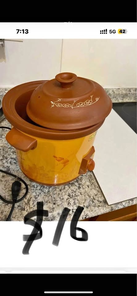 Electric Stew Cooker Sale for $16