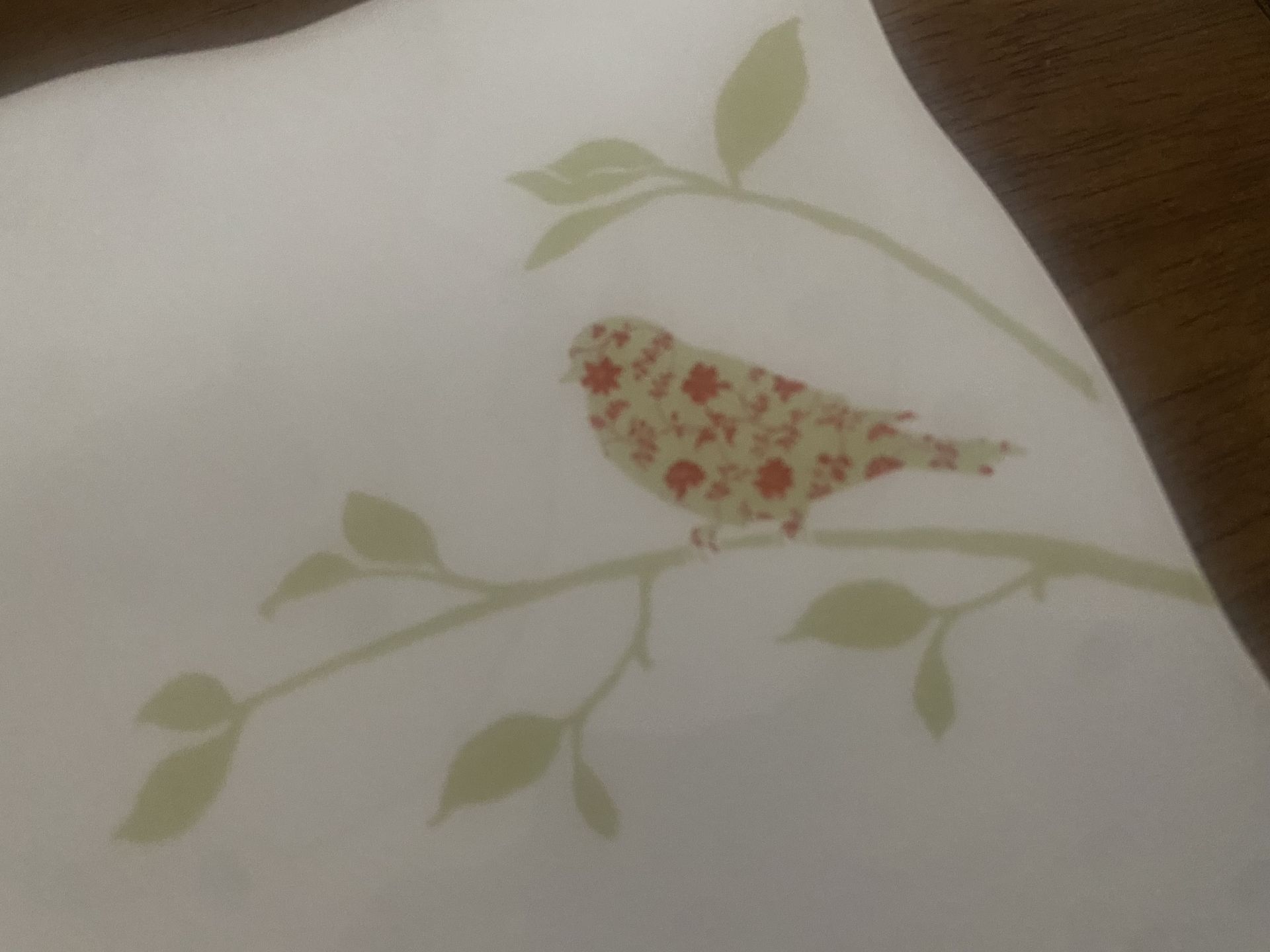 Set of 2 Fine China Plates - photo 4