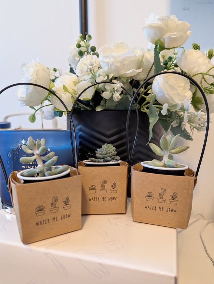 Succulent Party Favours
