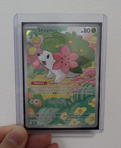 Pokémon TCG Shaymin Card S&V Destined Rivals 185/182 Illustratio