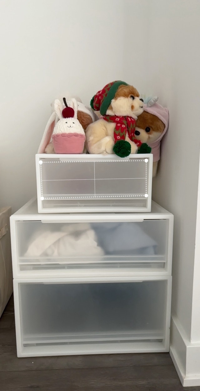 MUJI Closet Organizer