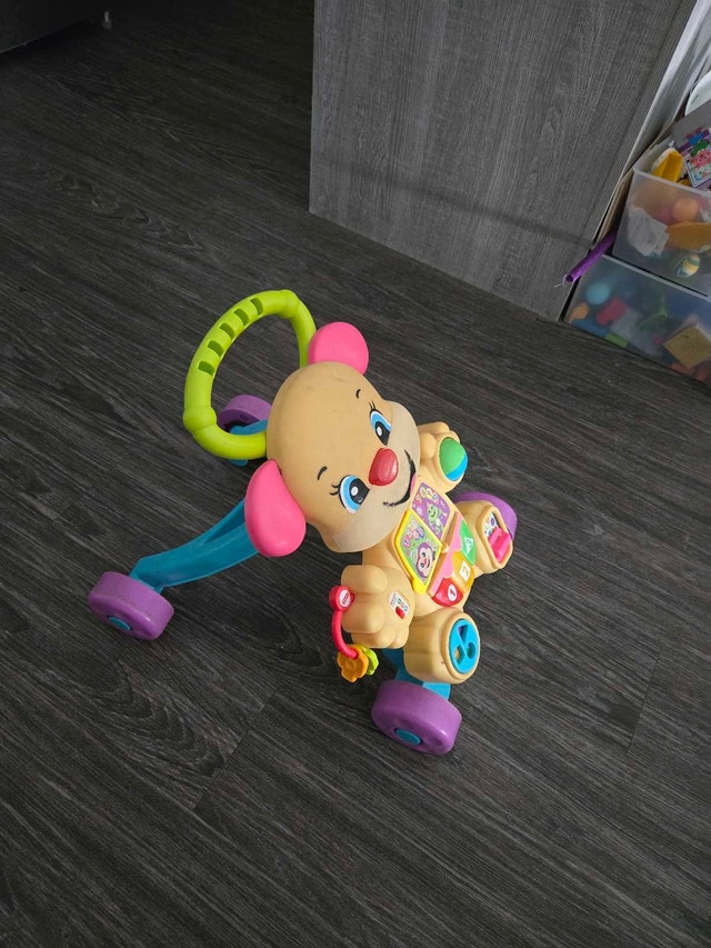 Fisher-Price Stroll and Learn Walker