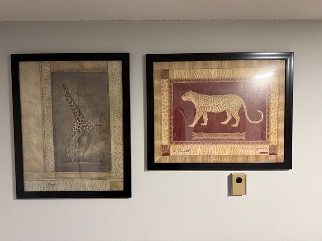 Framed Art: Wildlife Giraffe and Leopard