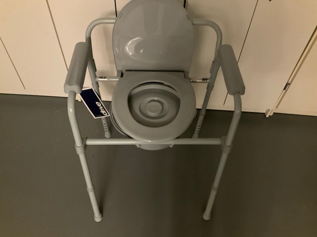 Raised Toilet Seat with Arms