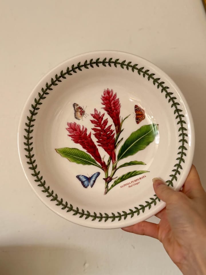 Set of 6 Portmeirion Botanic Garden Pasta Bowls - Made in Englan - photo 3