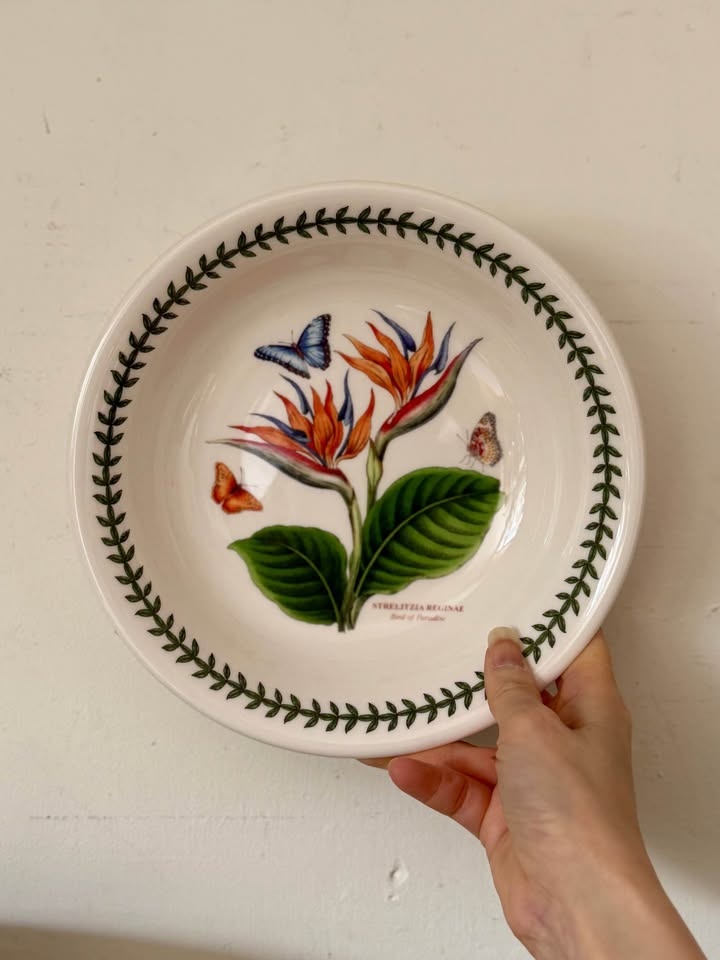 Set of 6 Portmeirion Botanic Garden Pasta Bowls - Made in Englan - photo 4