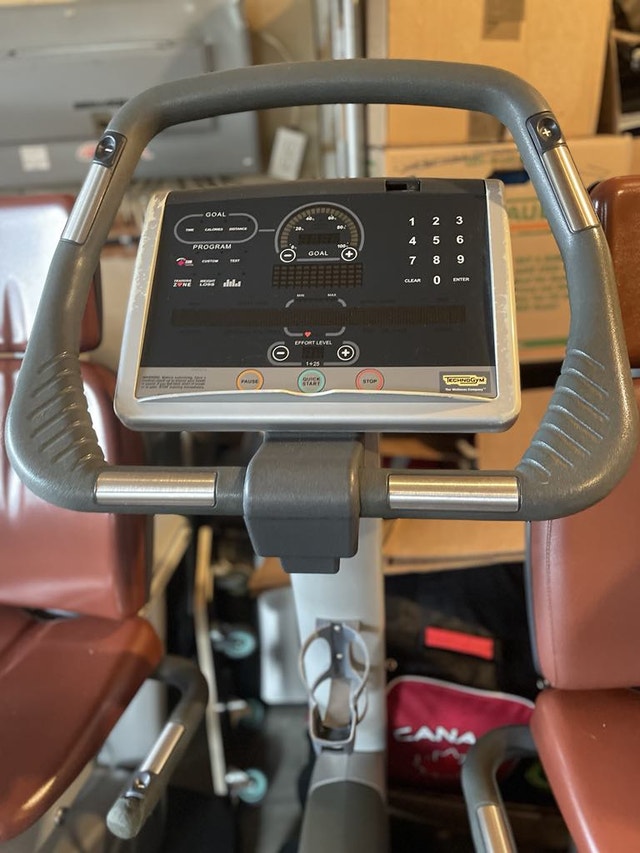 TechnoGym Commercial Exercise Bike (Upright)