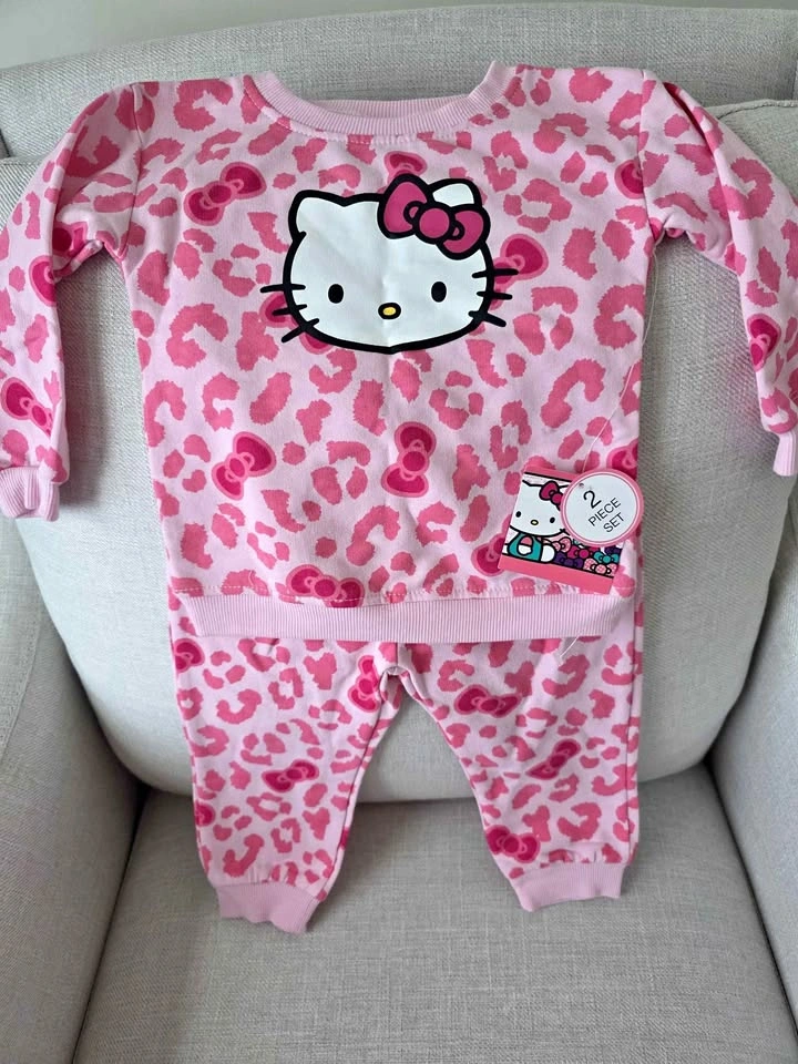 Girls Outfit Size 18 months